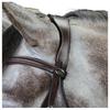 Whitaker Pick N Mix Leather Anatomical Horse Headpiece