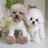 Dog Autumn Winter Flower Undershirt Home Pet T-Shirt Clothes Pet Cute Lace Teddy Puppy Clothes Dog Sweater For Small Dogs