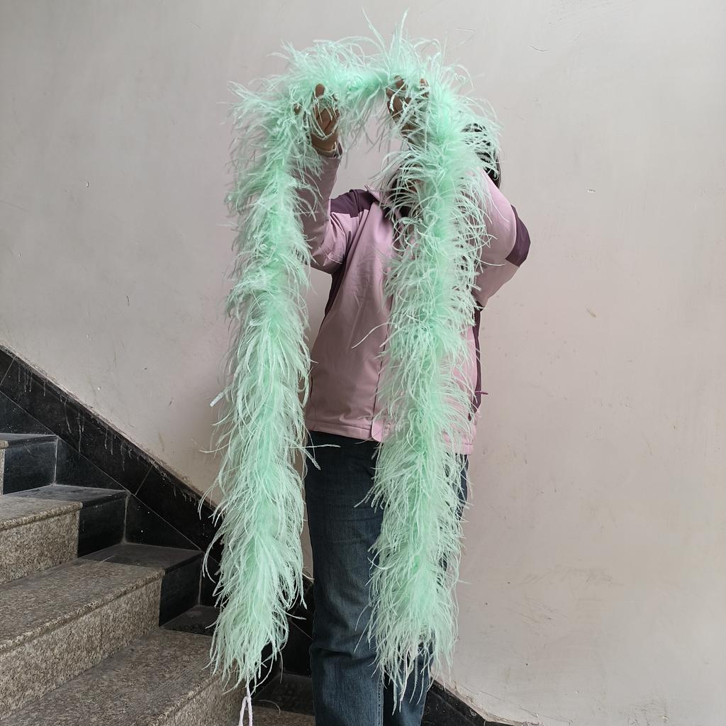 DIY 1 3 6 10 20Ply Natural Ostrich Feathers Boa 2 Meter Fluffy Ostrich feather Shawl for Wedding Party Dress Sewing Decoration Scarf