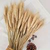 Набор из 50 натуральных сушеных пшеничных цветов премиум-класса для декора, идеально подходит для создания цветочных композиций своими руками, идеально подходит для декора фермерского дома, центральное украшение для стола