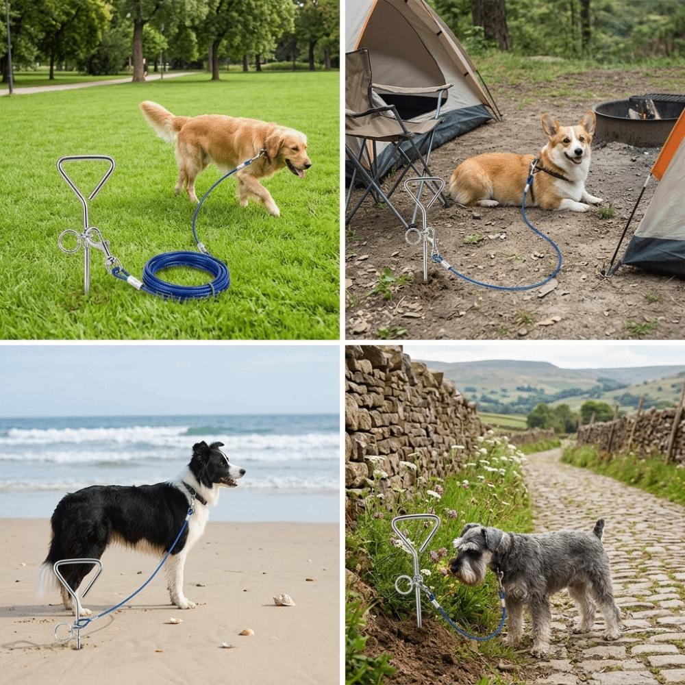 Double Hook Wire Rope Leash Spiral Shape Double Hook Leash Easy Setup Dog Anchor Stake Camping Use