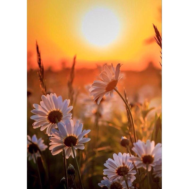 5D DIY алмазная живопись закат пейзаж Алмазная вышивка пейзаж вышивка крестом полная круглая дрель ремесла домашний декор подарок