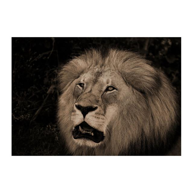 Canvas Painting Modern Wild Animal Black and White Kissing Lions Head Wall Art Pictures for Living Room Cuadros Home Decoration No Frame