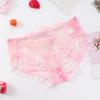 Plus Size Nude Lace Low Waist Embroidered Panties for Women