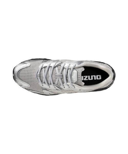 Mizuno Wave Rider 10 - Туманная гавань:Серебряный:Черный [D1GA261602]