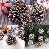 Pine Cones White Edge Pine Cones Christmas Tree Pendant Christmas Decoration Natural Real Pine Cones Christmas Natural