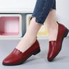 Весна Новые Большие размеры Кожаные Женские Туфли Для Мам Среднего Возраста Мягкая Подошва Плоские Повседневные Туфли Женские Рабочие Туфли Женские