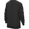 Nike Grade School Sweatshirts Crew Neck Moderate HQ3744-045