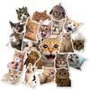 50 Realistic Cute Cat Head Emoticon Pack Stickers Internet Celebrity Cat Waterproof Graffiti Cartoon Stickers Pack