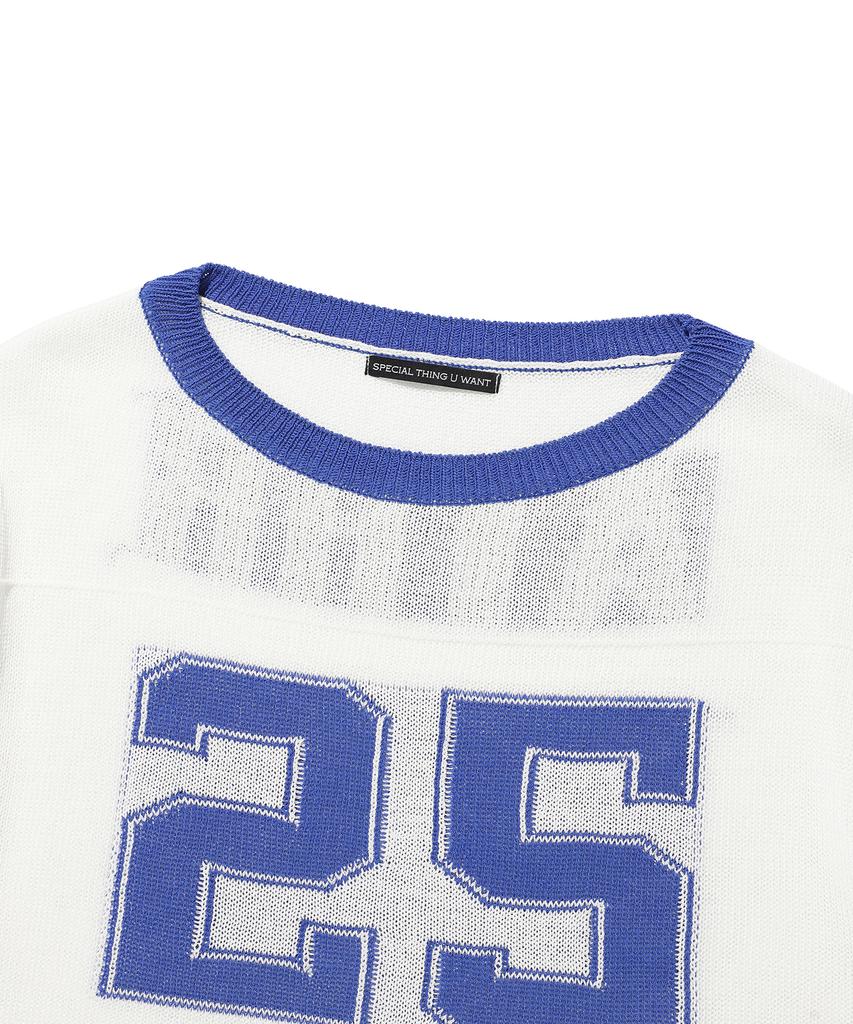 ANDTHEOTHER Oversized Round Neck Short Sleeve Knit Blue