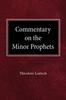 Книга Commentary On the Minor Prophets