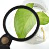 15X Small Magnifying Glass, Pocket Magnifier Folding Magnify Glass with Rotating Leather Protective Case