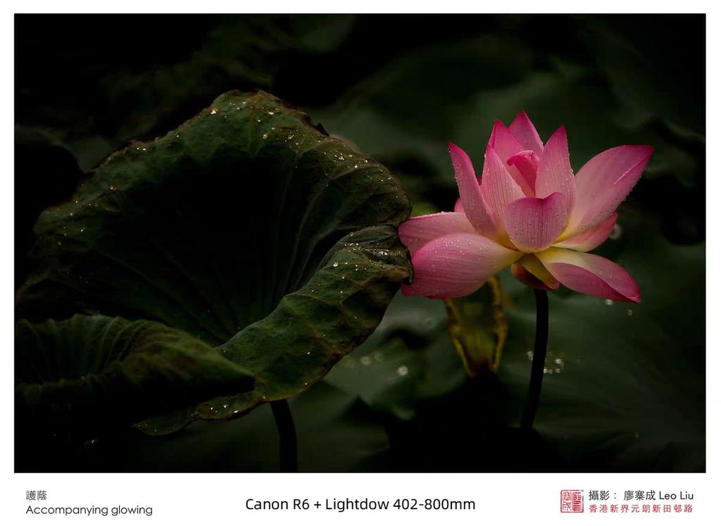 Телеобъектив Lightdow с переменным фокусным расстоянием для Canon Объектив для Canon EOS Kiss X10i X9i X9 X8i X7i X6i X5 X4 X3 X2 X90 420-800 мм f/8.3-16 EF/EF-S X10/250D