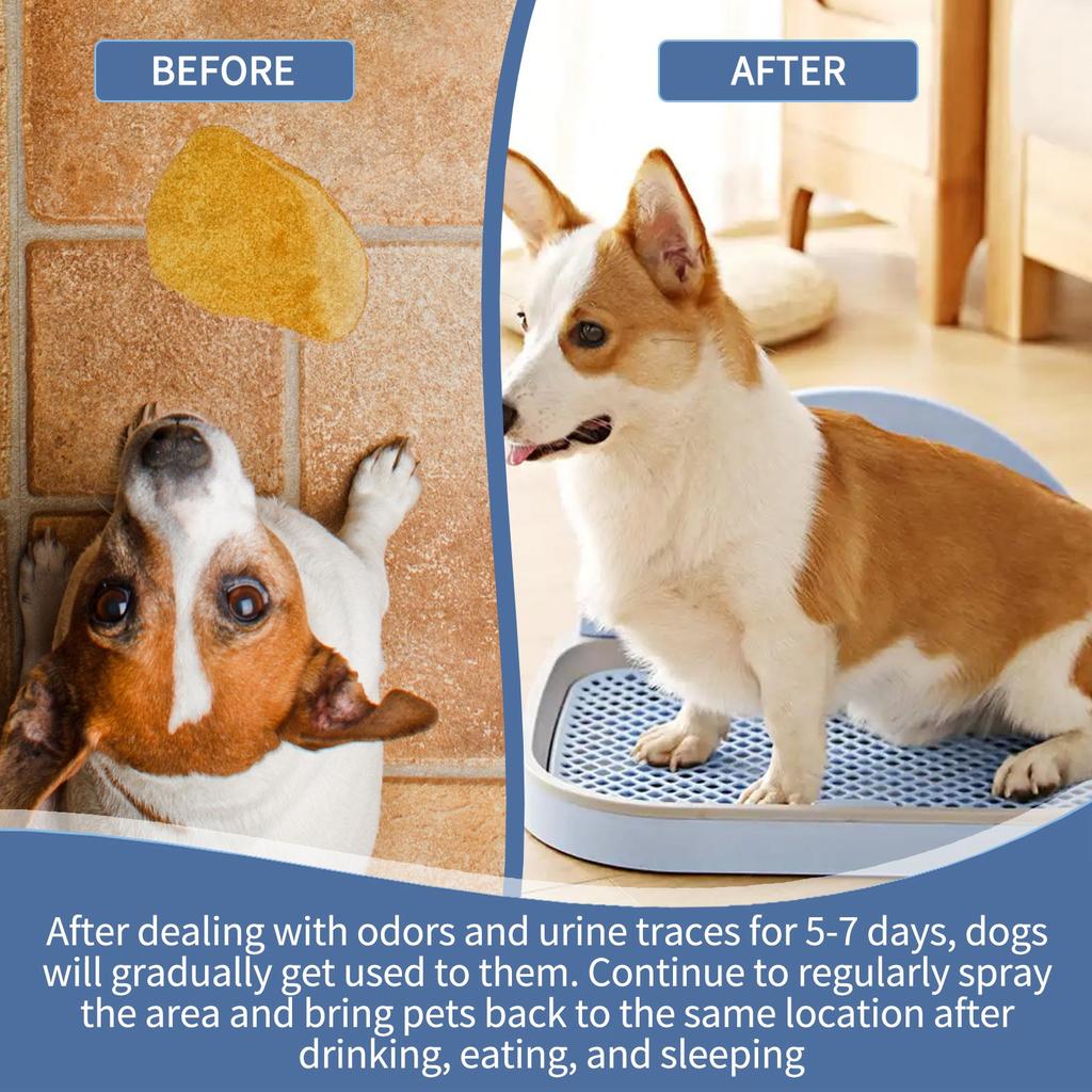 Dog Toilet Training Spray, Puppy Toilet Training Spray, Corrects Your Dog's Bad Bowel Behavior And Helps You Train Your Dog To The Toilet 100ml