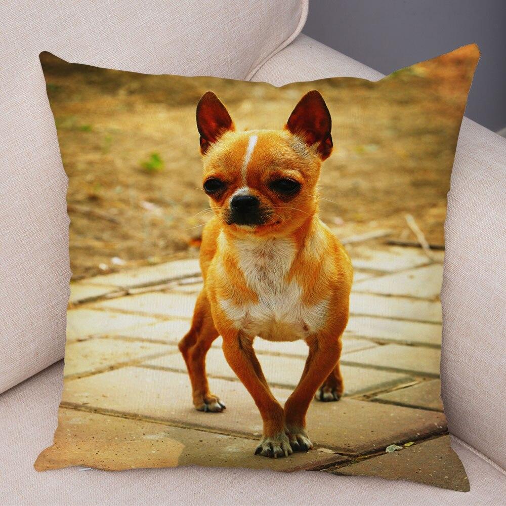 Cute Pet Animal Pillowcase Decorative Cute Puppy Chihuahua Pillowcase Soft Plush Cushion Cover for Car Sofa Home 45x45cm