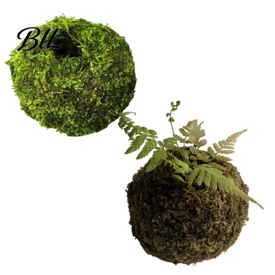 Humidity Maintaining Planter Moss Ball Flower Pot, Natural Green Bonsai Plant Holder, Decorative Spherical Pot for Home, Garden, Wedding Party
