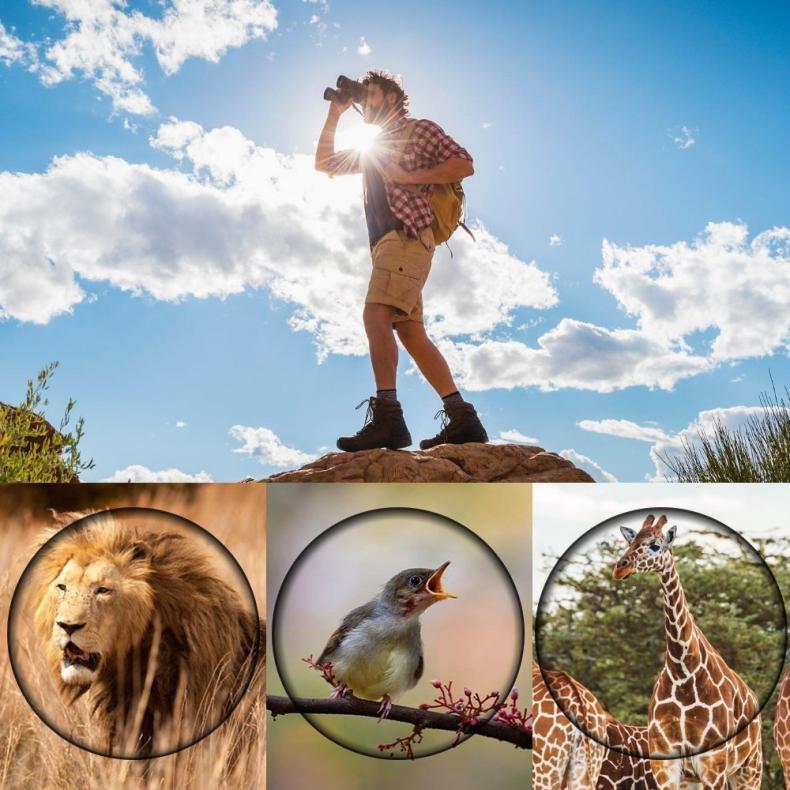 Бинокли 60X60 HD Бинокли HD фиксированный зум Открытый охотничий оптический бинокль ночного видения