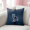 Rapper D-Drake Pillow Case Pattern Printed Pillowcase For Living Room Sofa Cushion Cover