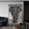 Wild Black and White African Elephant Canvas Painting Animal Posters and Prints Wall Art Pictures for Living Room Home Decor