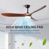 Low Floor Modern Ceiling Fan Without Light 42/52 Inch DC Motor Reversible Blade Remote Control LED Fan with Light Pendant Lamp