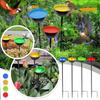 Rain Catchers,yard Bird Feeder,bee Waterer,Garden Ground Inserts Capture Rainwater