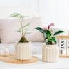 Hydroponic Plants Pot Self Watering Flowerpot Indoor Self-watering Mini Succulent Planter Tabletop Vase Home Office Bonsai Decor