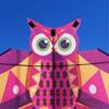 Owl Patterned Kites High Visibility Encourages Motor Skills Development Outdoor Exploration Gift