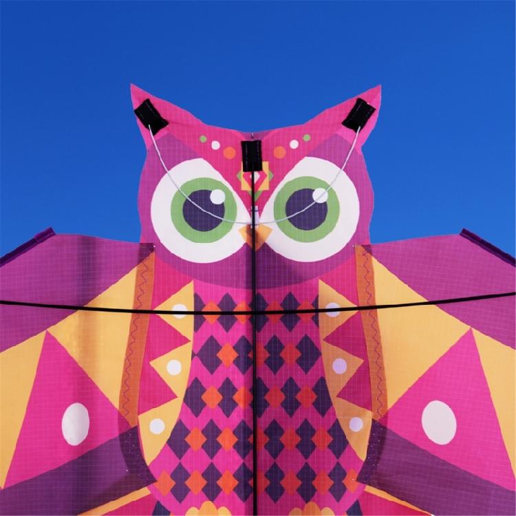 Owl Patterned Kites High Visibility Encourages Motor Skills Development Outdoor Exploration Gift