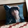 SSakurada DDori Cushion Cover Reversible Soft Durable Pillow Cover Home  Car MultiScene Use for Daily Comfort