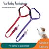 Красочный поводок для безопасности питомца в машине