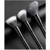 AOLANLA 13-Piece Makeup Brush Set, for Foundation, Highlight and Eye Makeup, Beauty Tool