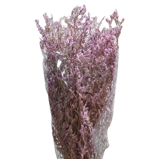 Уникальное сушеное растение, не выцветающее, художественное, фантастическое.