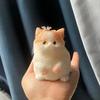 New Cute Chubby Cat Orange Soft Give Birthday Gifts To Girls and Kid Home Decor Ornaments Cats Bedroom Living Room Miniatures