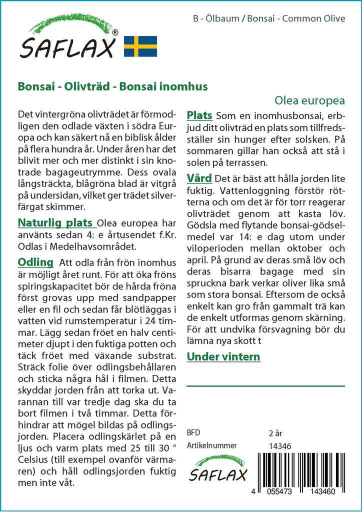 SAFLAX Garden in the Bag - Бонсай - Олива обыкновенная - 20 семян - С субстратом в подходящем пакете - Olea europea