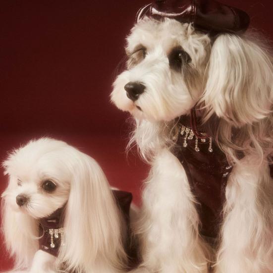 Платье для маленькой собаки, платье принцессы из искусственной кожи без рукавов, черная юбка-пачка для девочек и собак, наряды для мотоциклистов на день рождения и свадьбу