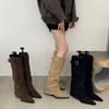 Wedge Heel High Heel Pointed Suede Pile Boots Medium Knight Boots Women's Shoes 2025 Autumn and Winter Skinny Long Boots