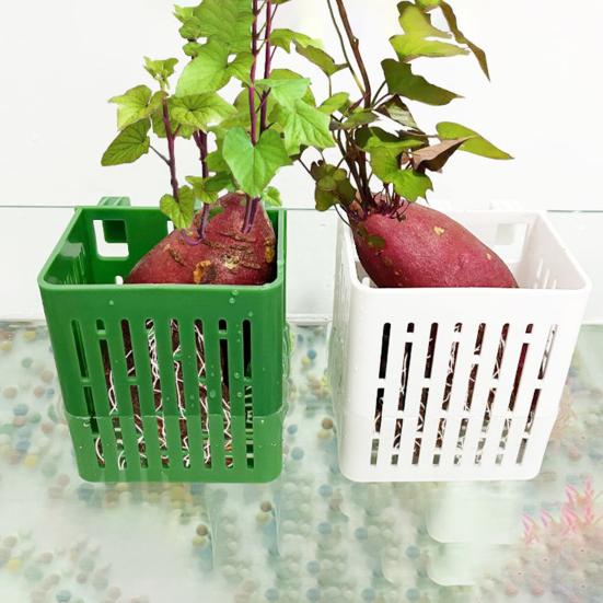 1/2/3/5/10 шт., держатель для аквариумных растений, подвесной горшок для аквариума с крючком, пластиковый стаканчик для водных растений для украшения акваскейпа