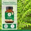 Organic India Moringa Capsules 60 Veg Capsules Pack of 2 with Free Sample for Energy Stamina Wellness Support