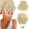 MERISIHAIR 2 шт. синтетический небрежный пучок волос кусок свободный волнистый вьющийся шнурок конский хвост и заколка вьющаяся челка для женщин повседневная одежда