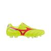 Morelia Ii Japan Safety Yellow Fairy Coral