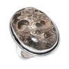 Turritella Fossil Gemstone 925 Sterling Silver Jewelry Ring Size 9