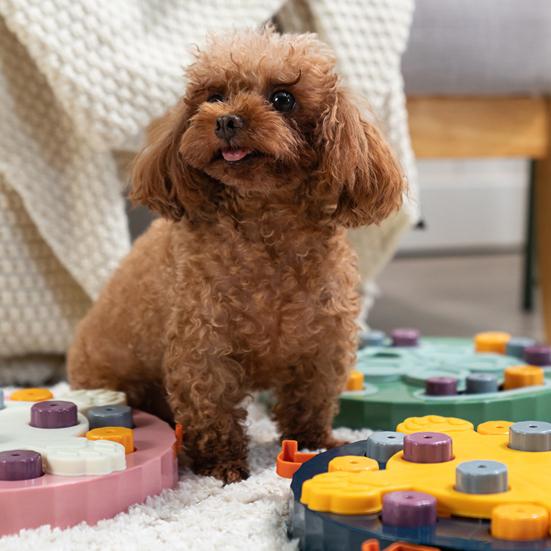 Игрушки-пазлы для собак Уникальная форма Снимает скуку Здоровая кормушка для домашних животных Протекающая игрушка-головоломка