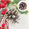 10Pcs Natural Pine Cone Decorations Eco-friendly Christmas Parties Weddings Pine Cones for DIY Crafts
