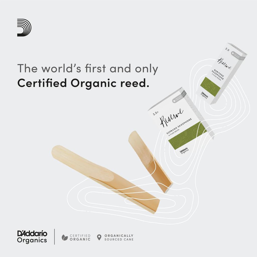 Трости WoodWinds для альт-саксофона, сертифицированные USDA Organic RESERVE, ODJR0320, упаковка 3 шт., D'Addario, D'Addario, Саксофон, Сертифицированные, [Жесткость 2.0],