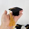 5/10 шт. Мини Выпускная Шапочка с Кисточкой Плюшевая Игрушка Чехол для Винной Бутылки DIY Подарок Украшение Фетровая Шапочка Бакалавра 2025 Выпускной Вечер