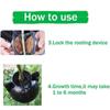 10pcs Plant Rooting Equipment High Pressure Propagation Ball Graft Box Breeding Case for Garden Graft Box Sapling