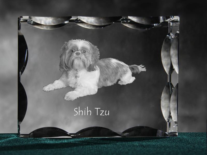 Shih Tzu, Chrysanthemum Dog - crystal with a picture of a dog, glass statuette with a picture, unique frame with a picture from Art-Dog brand
