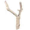Reptiles Trunk Cave Natural Aesthetic Breeding Driftwood for Reptiles Wood Climbing Habitats Supplies