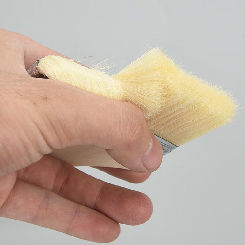 Soft Bristle Paint Brush