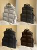 2026 Fall/Winter Women's Lightweight Stand Collar Down Vest - Warm, Loose, and Versatile Casual Jacket